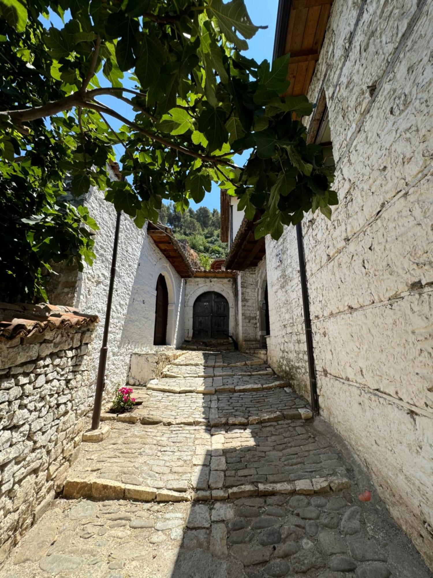 Meroli Guesthouse - Unesco Quarter Berat Exterior photo